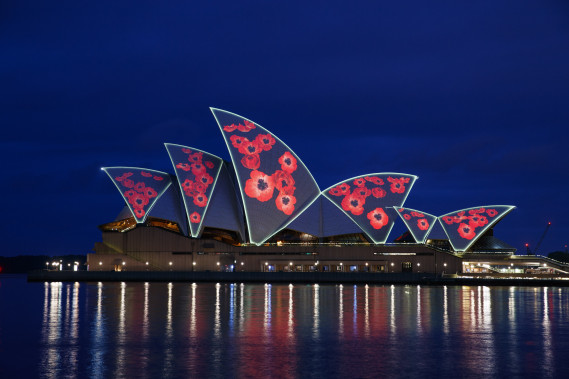 Poppies on Sydney Opera House
